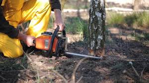 Best Lot and Land Clearing  in Mountain Home, NC