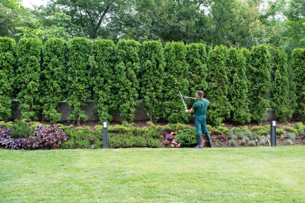 Best Artificial Turf Installation  in Mountain Home, NC